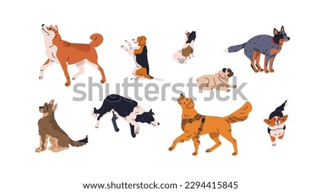 Dogs in motion set. Different canine breeds. Obedient doggies, puppies. Active hounds, corgi, akita inu, border collie, shepherd and pug. Flat vector illustrations isolated on white background Stockfoto © 