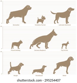 Dogs on the dimensional scale. Vector illustration.