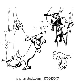 Dogs on walk