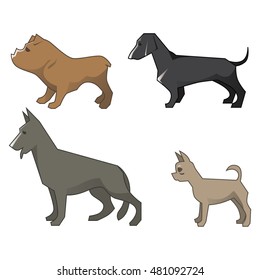 Dogs on a white background