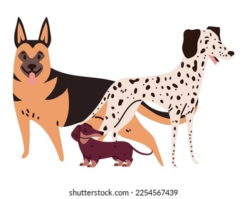 dogs on white background design