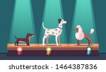 Dogs on winner pedestal with award ribbons at dog show. Dachshund, poodle & Dalmatian competition dog champions on podium under spotlights. Canine exhibition. Flat vector illustration