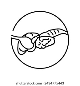 Dog's organ anatomy color line icon. Organisation in organism. Vector isolated element. Editable stroke.