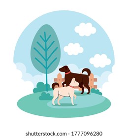 Dogs at park design, mascot pet animal nature cute puppy canine and domestric theme Vector illustration