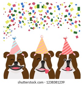 dogs party for new year celebration