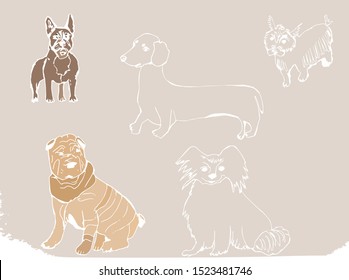 Dogs pattern consist of Sharpey, bulldog, taxa, chihua-hua, Yorkshire terrier.