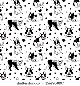 Dogs pattern. French bulldog seamless texture. Vector pets background. Black and white dogs isolated on white background