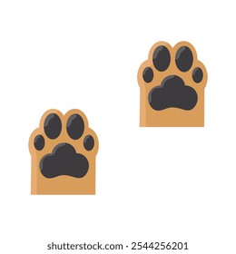 dog's paw, on white background
