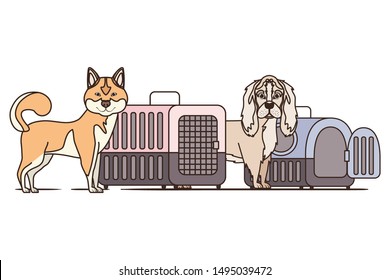 dogs and pet transport boxes on white background