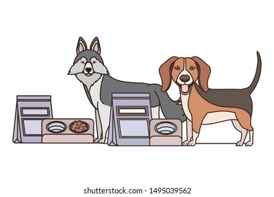 dogs and pet transport boxes on white background