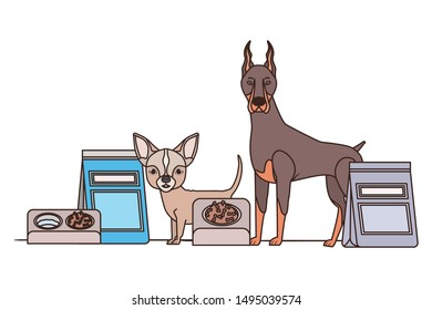 dogs and pet transport boxes on white background