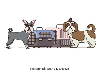 dogs and pet transport boxes on white background