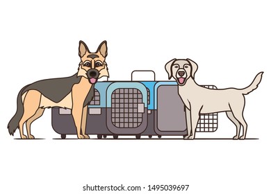 dogs and pet transport boxes on white background