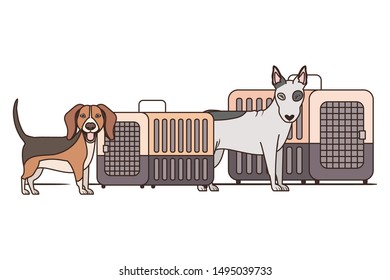 dogs and pet transport boxes on white background
