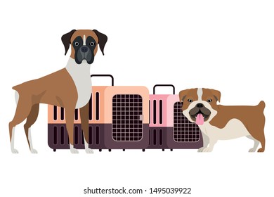 dogs and pet transport boxes on white background