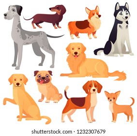 Cachorros animais de estimação caráter. Cão Labrador, golden retriever e rouco. Pug sentado, chihuahua e dachshund. Desenhos animados cães domésticos pedigree vector isolado ilustração ícones conjunto