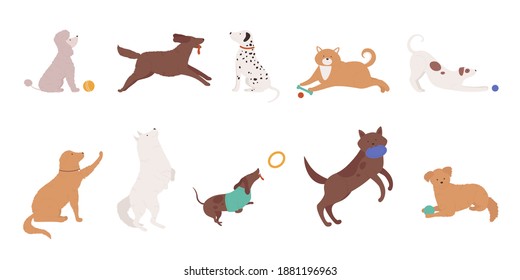 Dogs pets play vector illustration set. Cartoon cute various doggy characters collection of funny dog animal playing with ball, training human commands, puppy running and jumping isolated on white