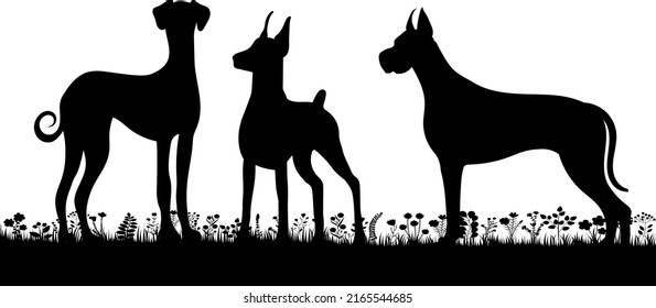 dogs playing on grass silhouette on white background, isolated