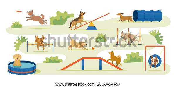 Dogs Playing in Playground , Park Background\
with Toys and Equipments