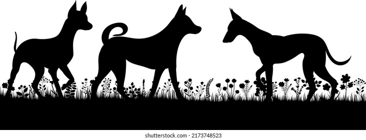 dogs playing silhouette on white background, isolated