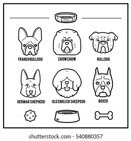 Dogs portrait with their things draw in minimal style