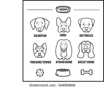 Dogs portrait with their things draw in minimal style.