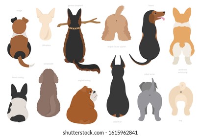 Dogs poses behind. Dog`s butts. Flat design clipart. Vector illustration