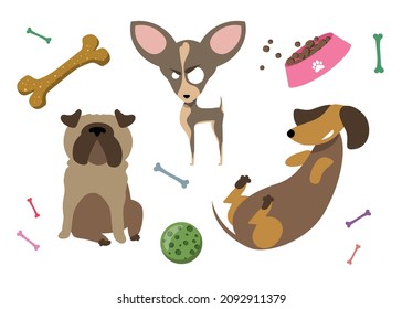 Dogs pug, dachshund, chihuahua. A set of pets with toys and a bowl