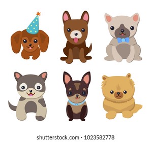 Dogs and puppies collection, poster with pets, of different breeds, pug and basset hound, labrador and chihuahua, dachshund dog on vector illustration