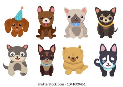 Dogs and puppies collection, poster with pets, of different breeds, pug and basset hound, labrador and chihuahua, dachshund dog on vector illustration