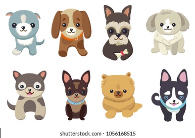 Dogs and puppies collection, poster with pets, of different breeds, pug and basset hound, labrador and chihuahua, dachshund dog on vector illustration