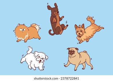 Dogs and puppies of different breeds fly in air with various emotions for concept veterinary clinic or pet products. Hovering dogs to advertise zoo services or nurseries to find new homes for puppies