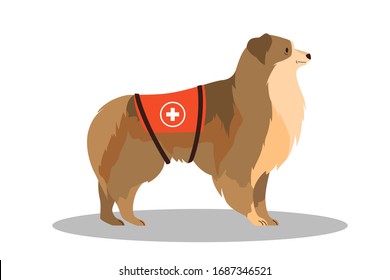 Dogs Rescuer, Collie. Cadaver Dog For Finding People. Cute Domestic Pet Helping People. Isolated Vector Illustration In Cartoon Style