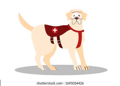 Dogs rescuer, Labrador. Cadaver dog for finding people. Cute domestic pet helping people. Isolated vector illustration in cartoon style