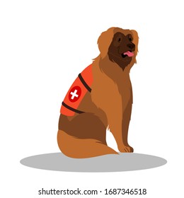 Dogs Rescuer, Leonberger. Cadaver Dog For Finding People. Cute Domestic Pet Helping People. Isolated Vector Illustration In Cartoon Style