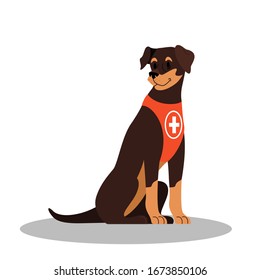 Dogs Rescuer, Pinscher Breed. Cadaver Dog For Finding People. Cute Domestic Pet Helping People. Isolated Vector Illustration In Cartoon Style