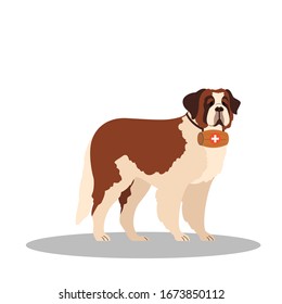 Dogs Rescuer, St Bernard Breed. Cadaver Dog For Finding People. Cute Domestic Pet Helping People. Isolated Vector Illustration In Cartoon Style