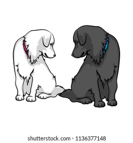 Dogs are sad. Two lovely labradors looking at each other