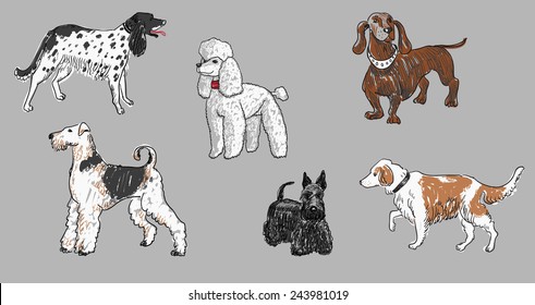 dogs set 1