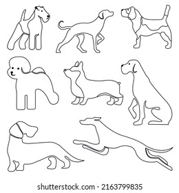 dogs set collection line art. Vector illustration of various dog breeds such as corgi doberman beagle. Isolated on white