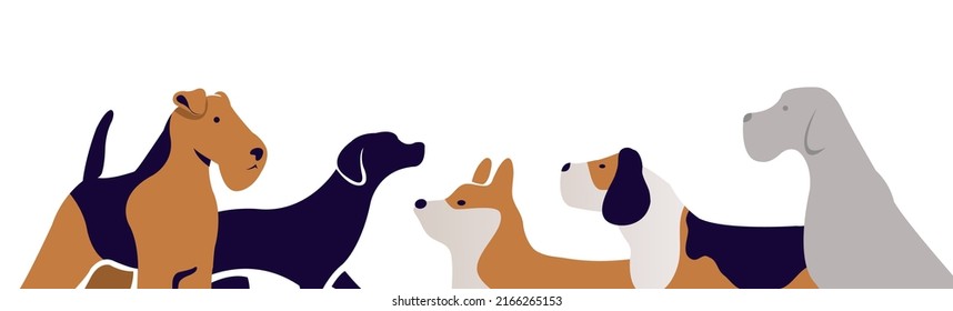 dogs set collection. Vector illustration of various dog breeds such as corgi doberman beagle. Isolated on white