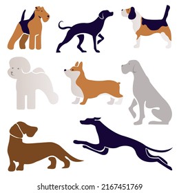 dogs set collection. Vector illustration of various dog breeds such as corgi doberman beagle. Isolated on white