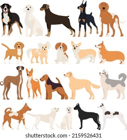 perros de diseño plano, aislado, vector