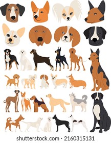 dogs set in flat design isolated, vector