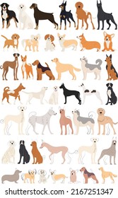 dogs set in flat design, isolated on white background vector