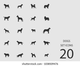 Dogs set of flat icons. Simple vector illustration