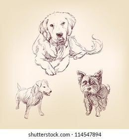 dogs -  set hand drawn  vector illustration  isolated