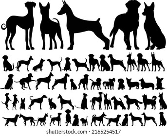 dogs set silhouette on white background, isolated