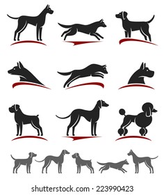 Dogs set. Vector