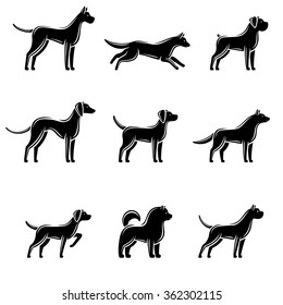 Dogs set. Vector